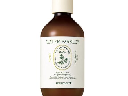 Pantothenic Water Parsley kojąco-nawilżający tonik do twarzy z ekstraktem z natki pietruszki 300ml on Sale