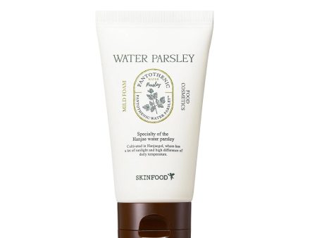 Pantothenic Water Parsley Mild Foam pianka do mycia twarzy z ekstraktem z pietruszki 150ml Fashion