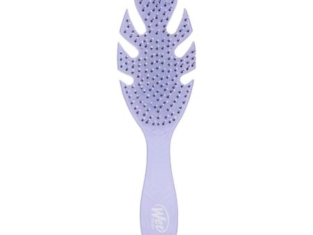 Go Green Detangler Brush szczotka do włosów Lavender For Sale