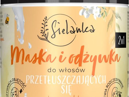 2 w 1 maska i odżywka do włosów przetłuszczających się Mleko i Miód 250ml Cheap