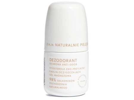 Naturalnie Pielęgnujemy dezodorant ochrona anti-odor 60ml Supply